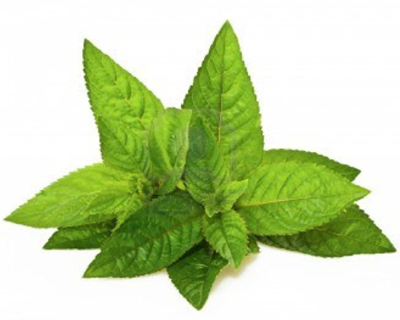 Comprar AROMA HIERBABUENA al mayor